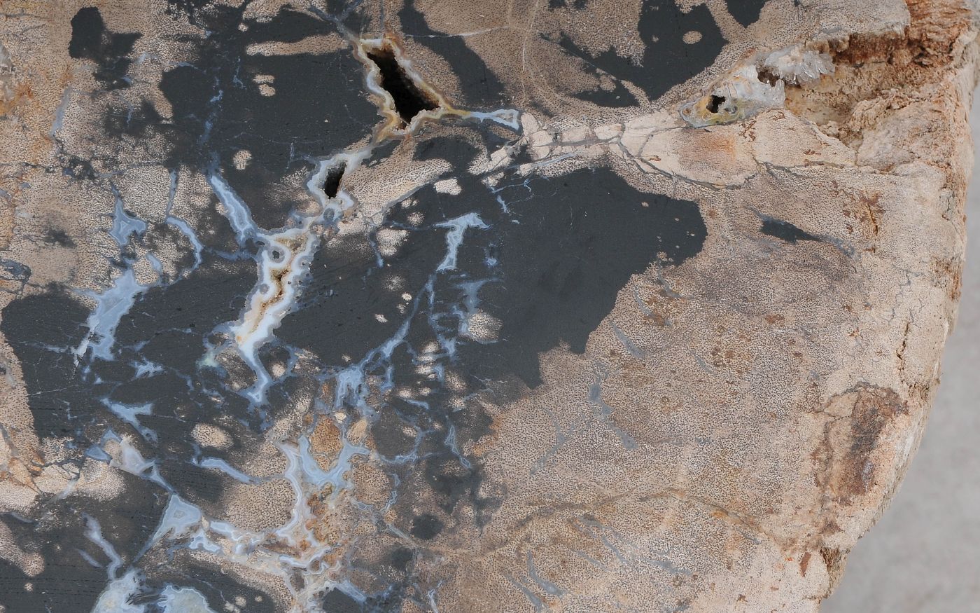 Salontafel versteend hout 60316 - Afbeelding 4