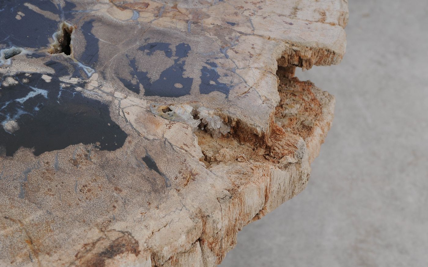 Salontafel versteend hout 60316 - Afbeelding 5