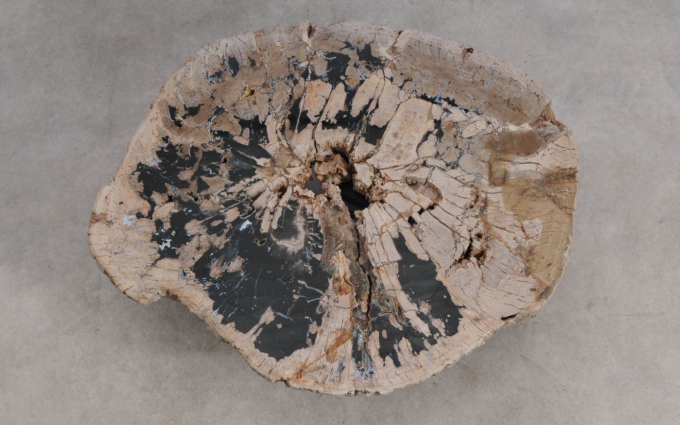 Salontafel versteend hout 60317