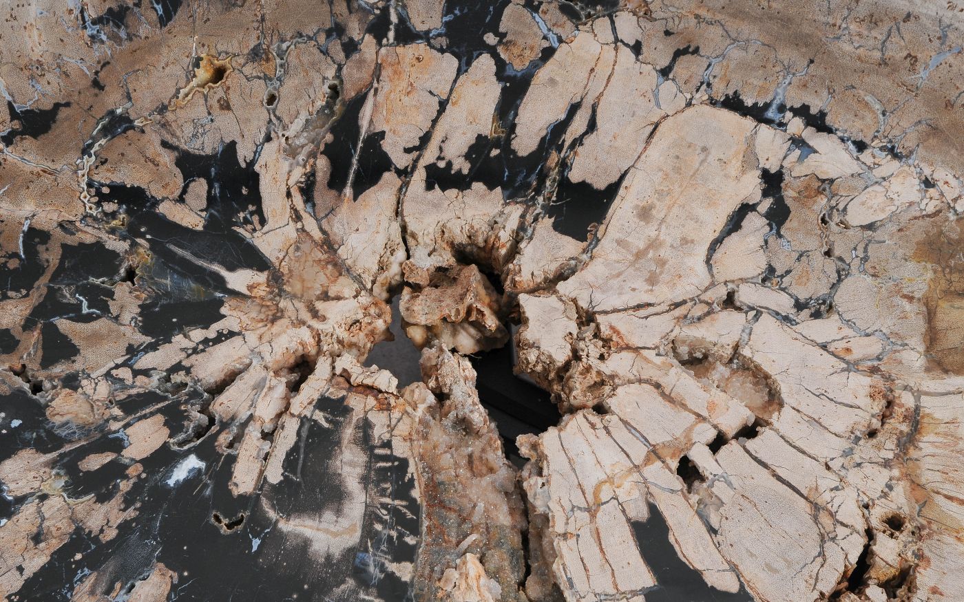 Salontafel versteend hout 60317 - Afbeelding 2