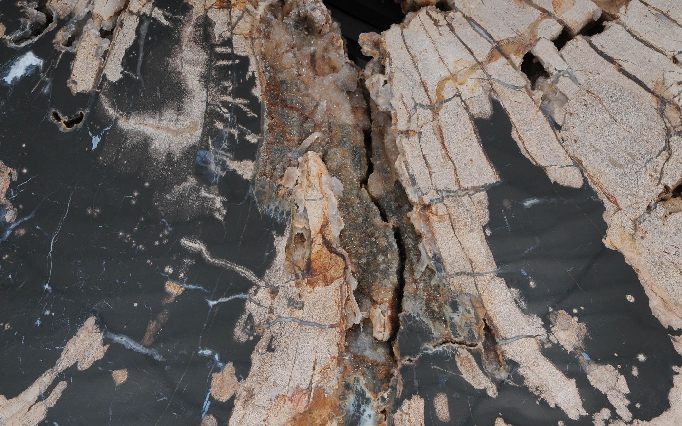 Salontafel versteend hout 60317 - Afbeelding 3