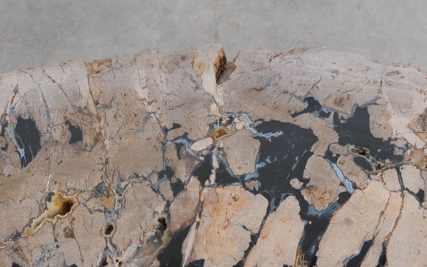 Salontafel versteend hout 60317 - Afbeelding 4