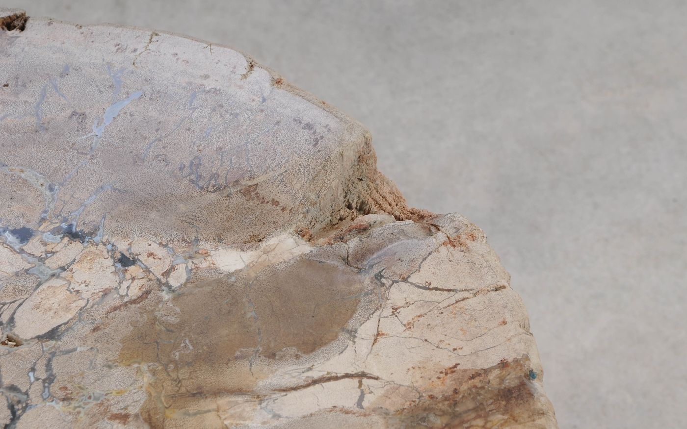 Salontafel versteend hout 60317 - Afbeelding 5