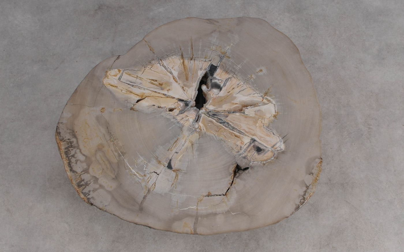 Salontafel versteend hout 60335