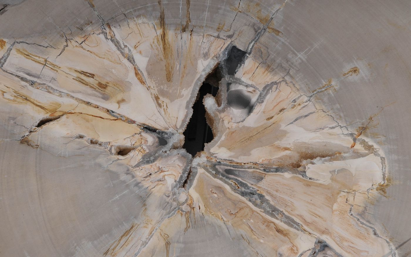 Salontafel versteend hout 60335 - Afbeelding 2