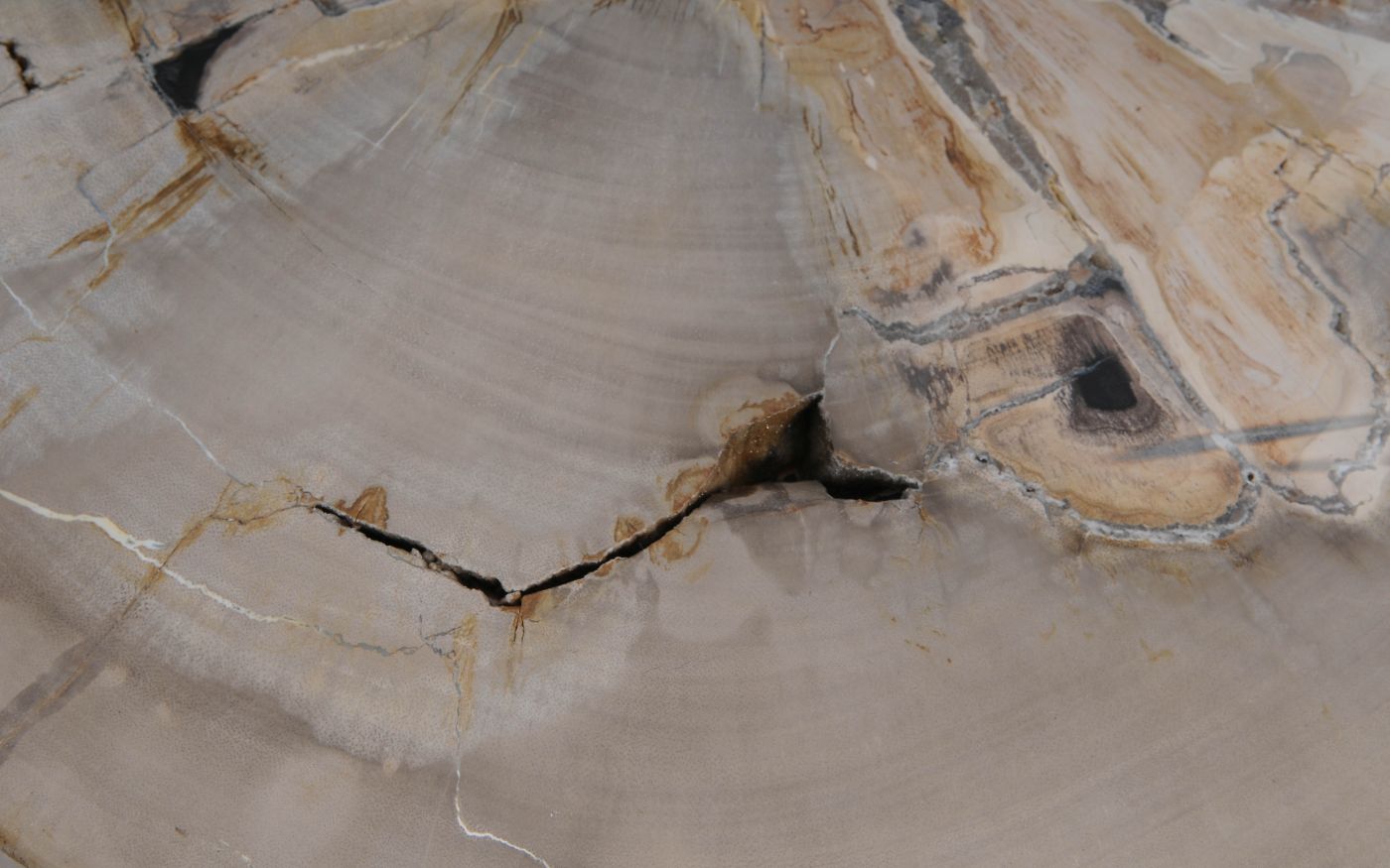 Salontafel versteend hout 60335 - Afbeelding 3