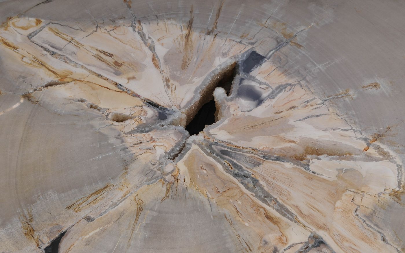 Salontafel versteend hout 60335 - Afbeelding 4