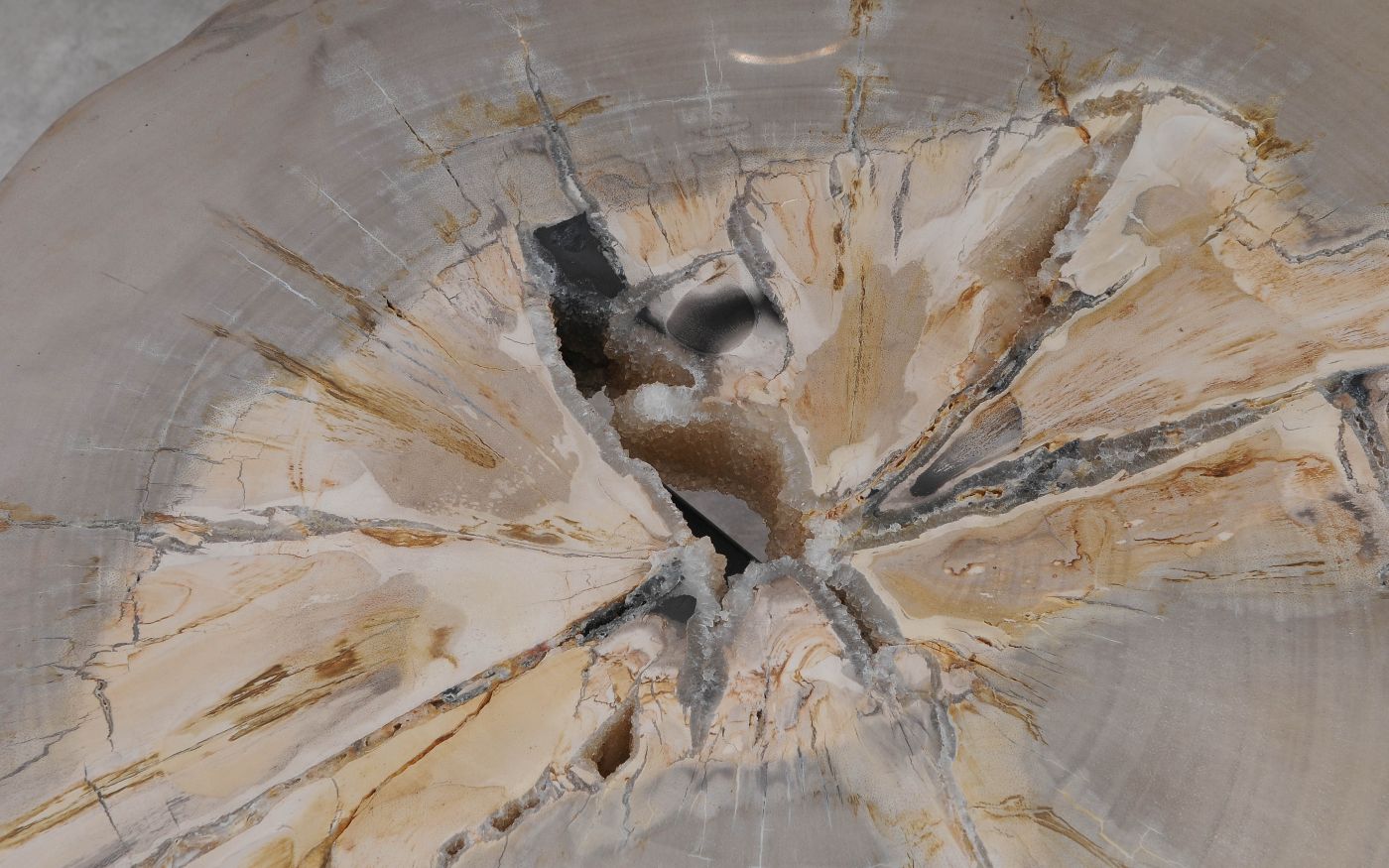 Salontafel versteend hout 60335 - Afbeelding 5