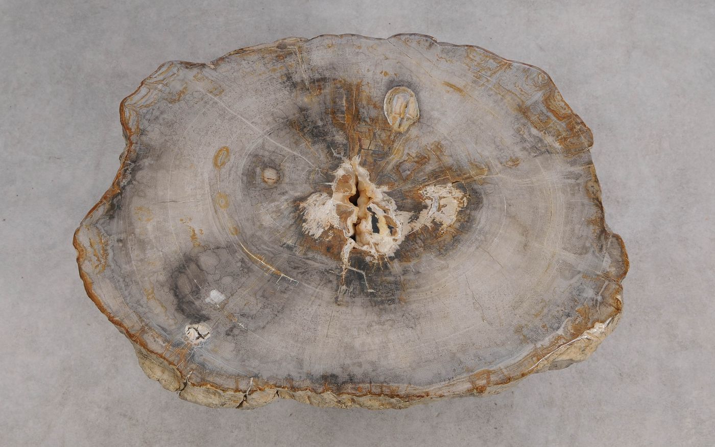 Salontafel versteend hout 60347