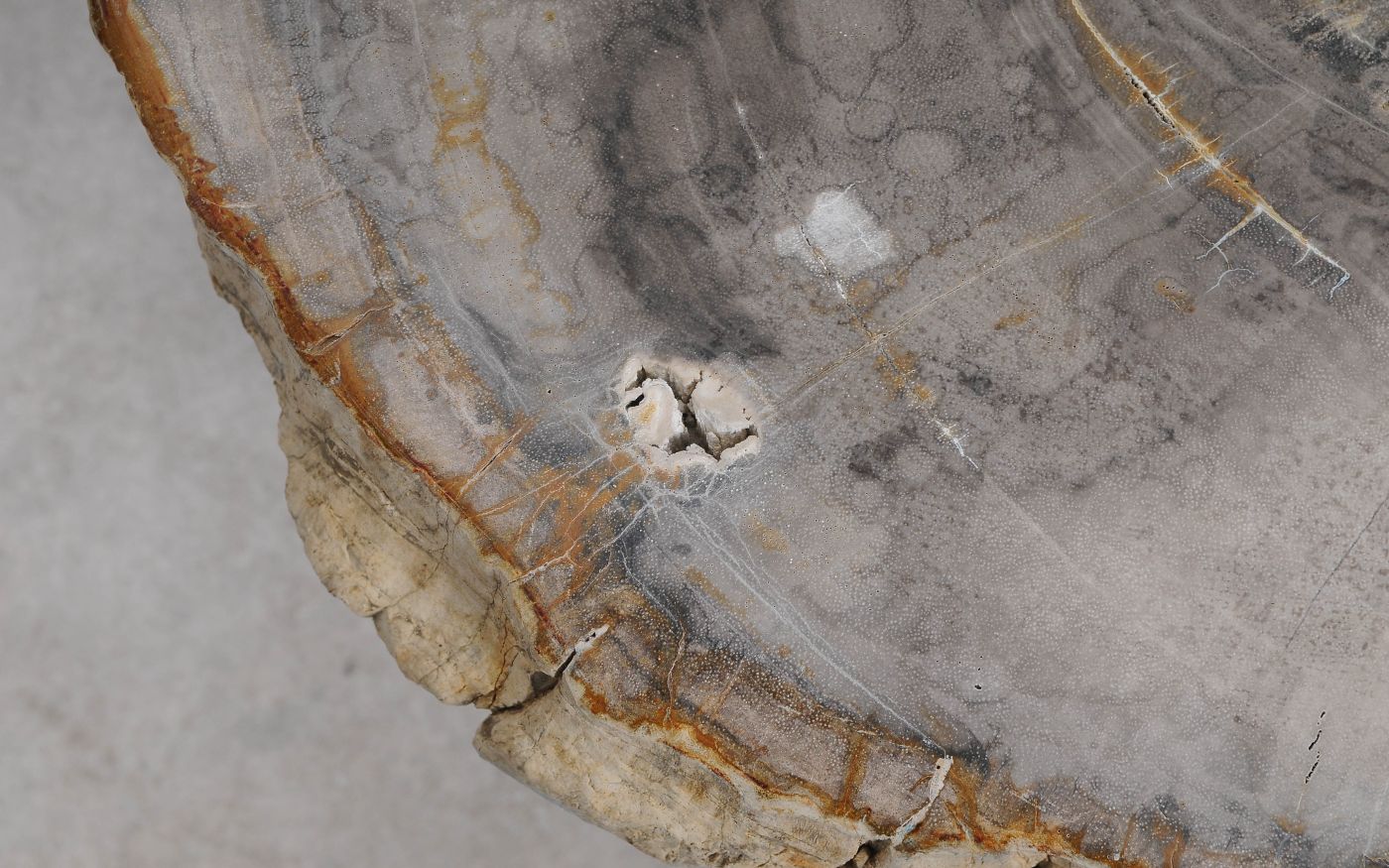 Salontafel versteend hout 60347 - Afbeelding 4