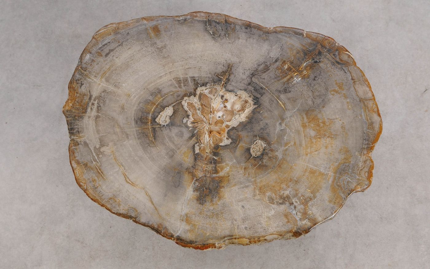 Salontafel versteend hout 60349