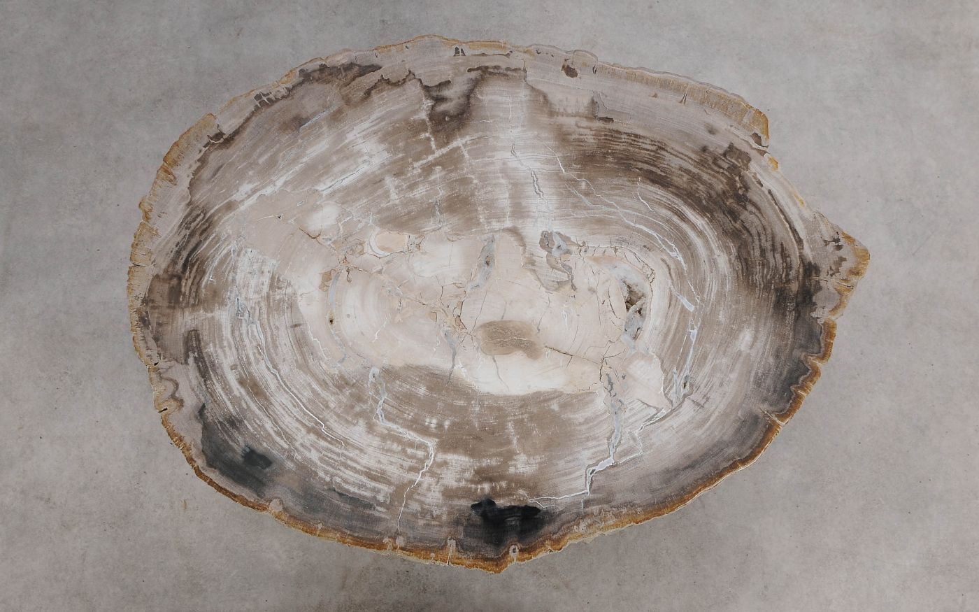 Salontafel versteend hout 60353