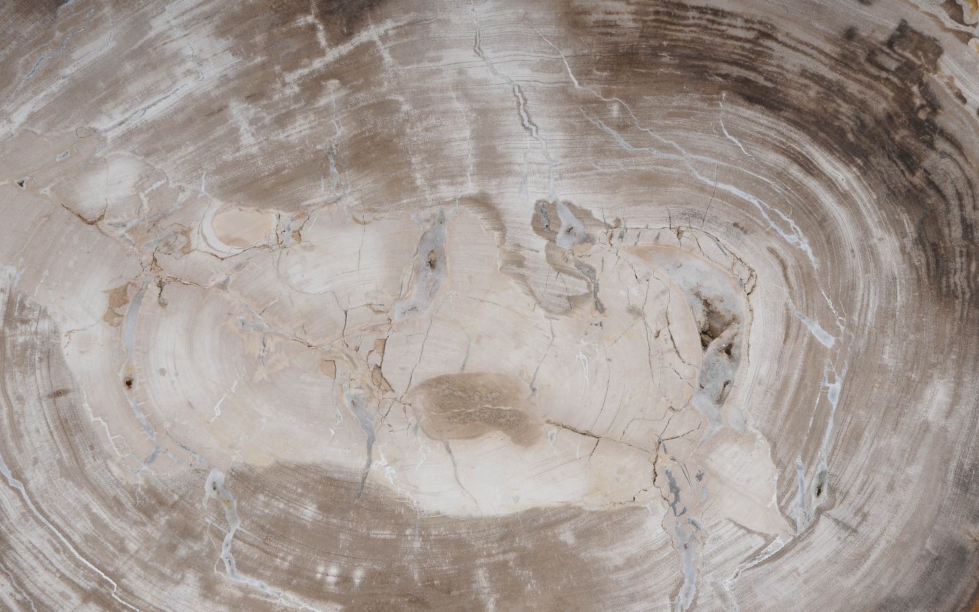 Salontafel versteend hout 60353 - Afbeelding 2