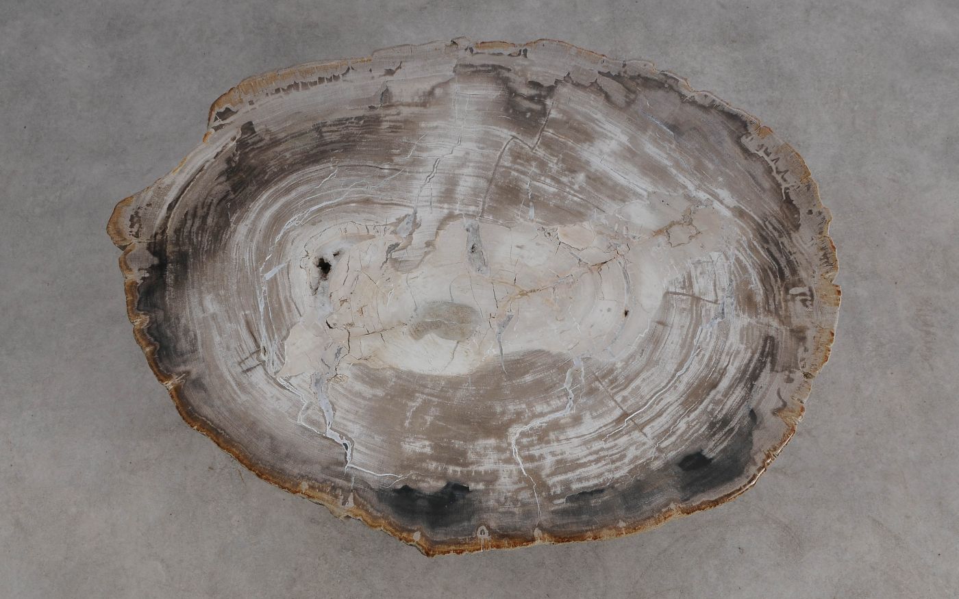 Salontafel versteend hout 60361