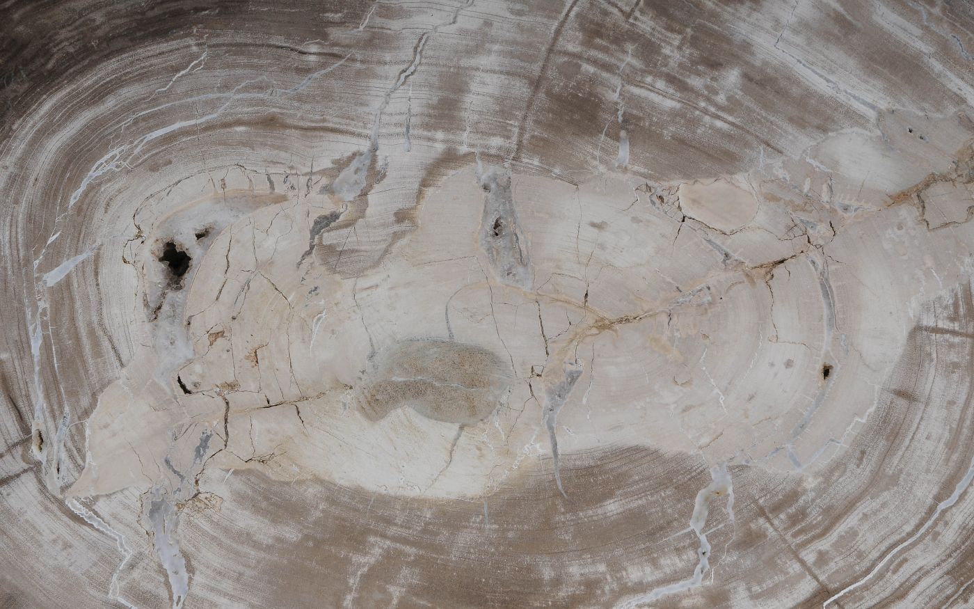 Salontafel versteend hout 60361 - Afbeelding 2