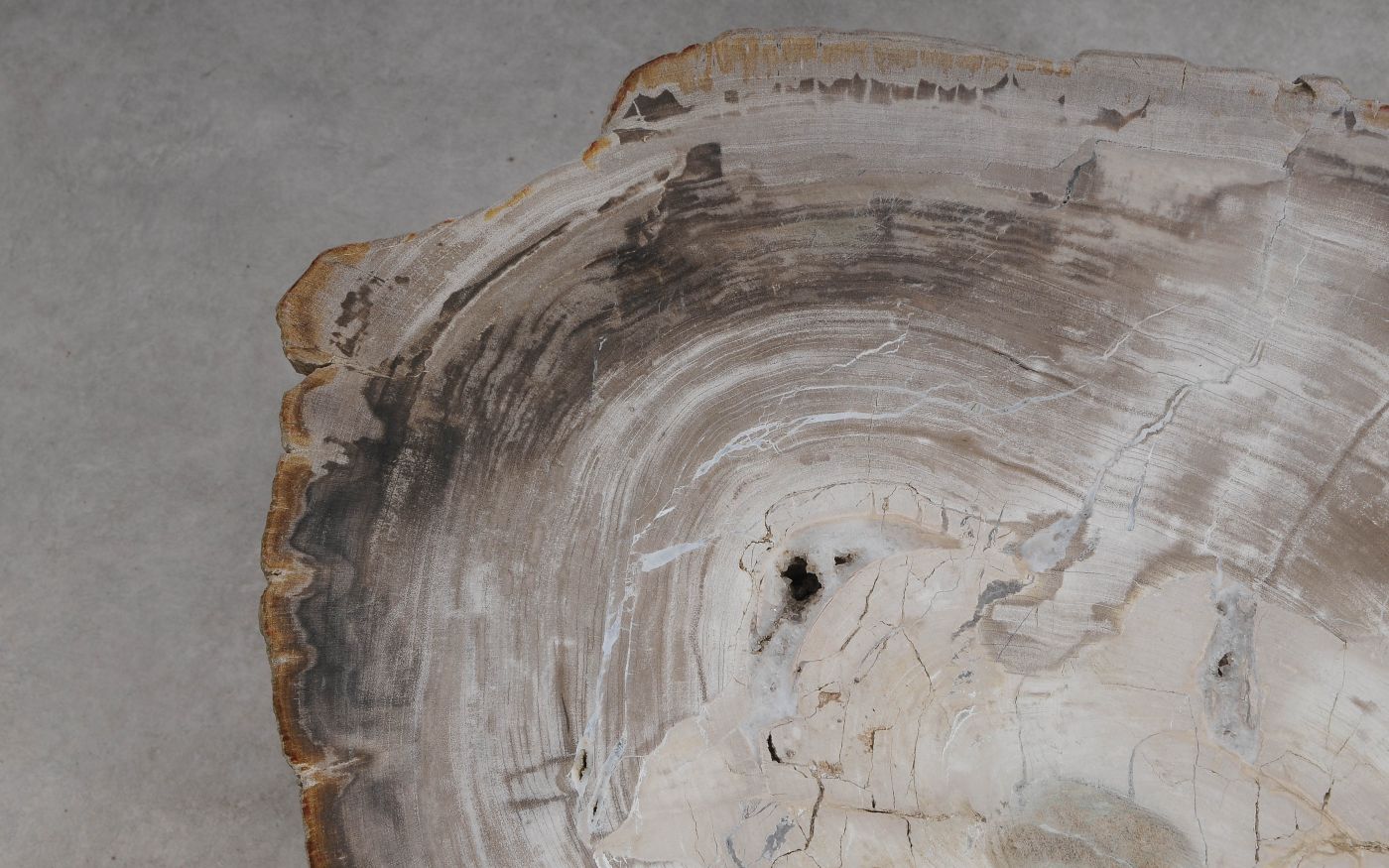 Salontafel versteend hout 60361 - Afbeelding 3