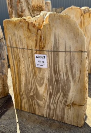 Grafsteen versteend hout 60363