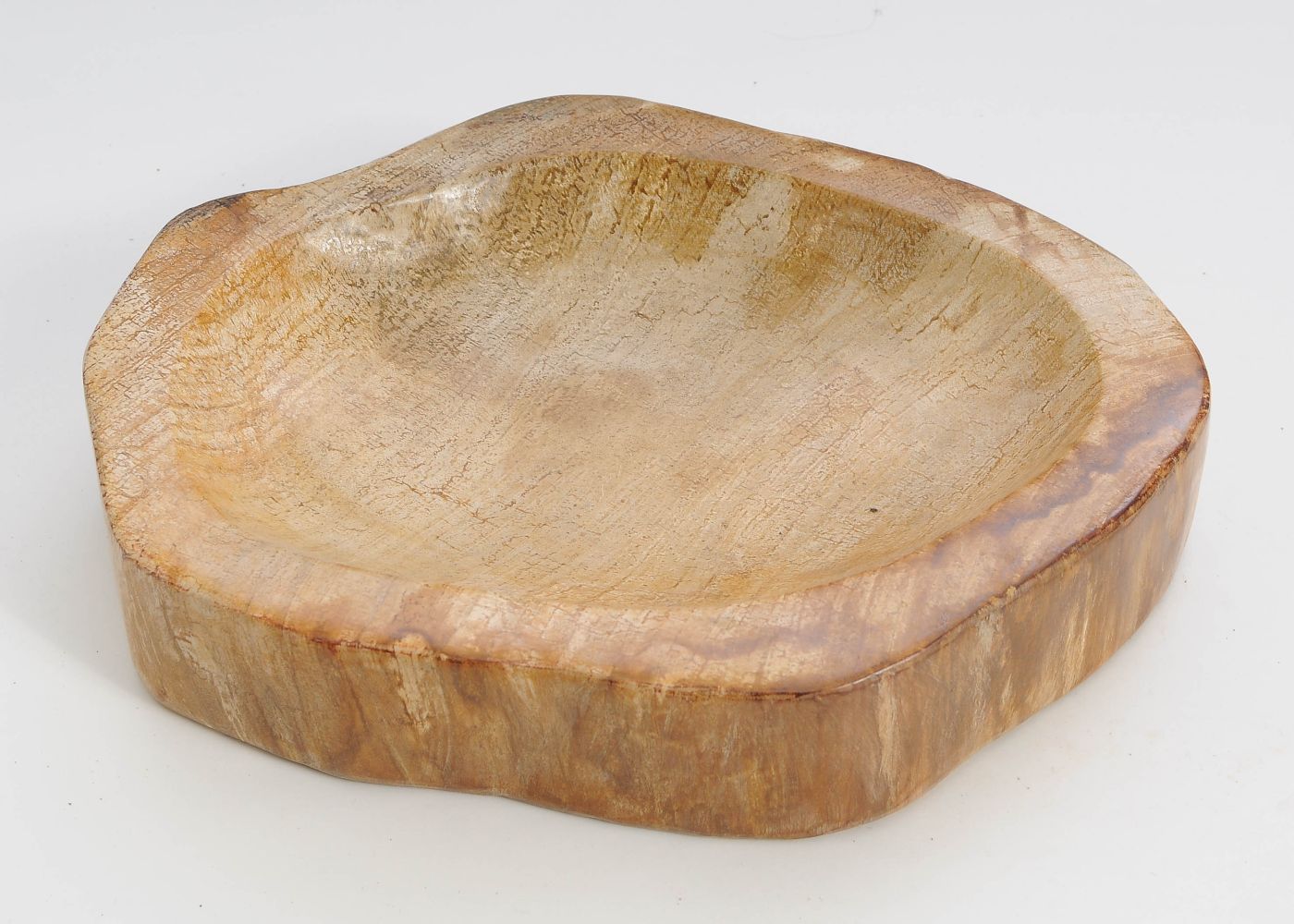 Schaal versteend hout 60374h