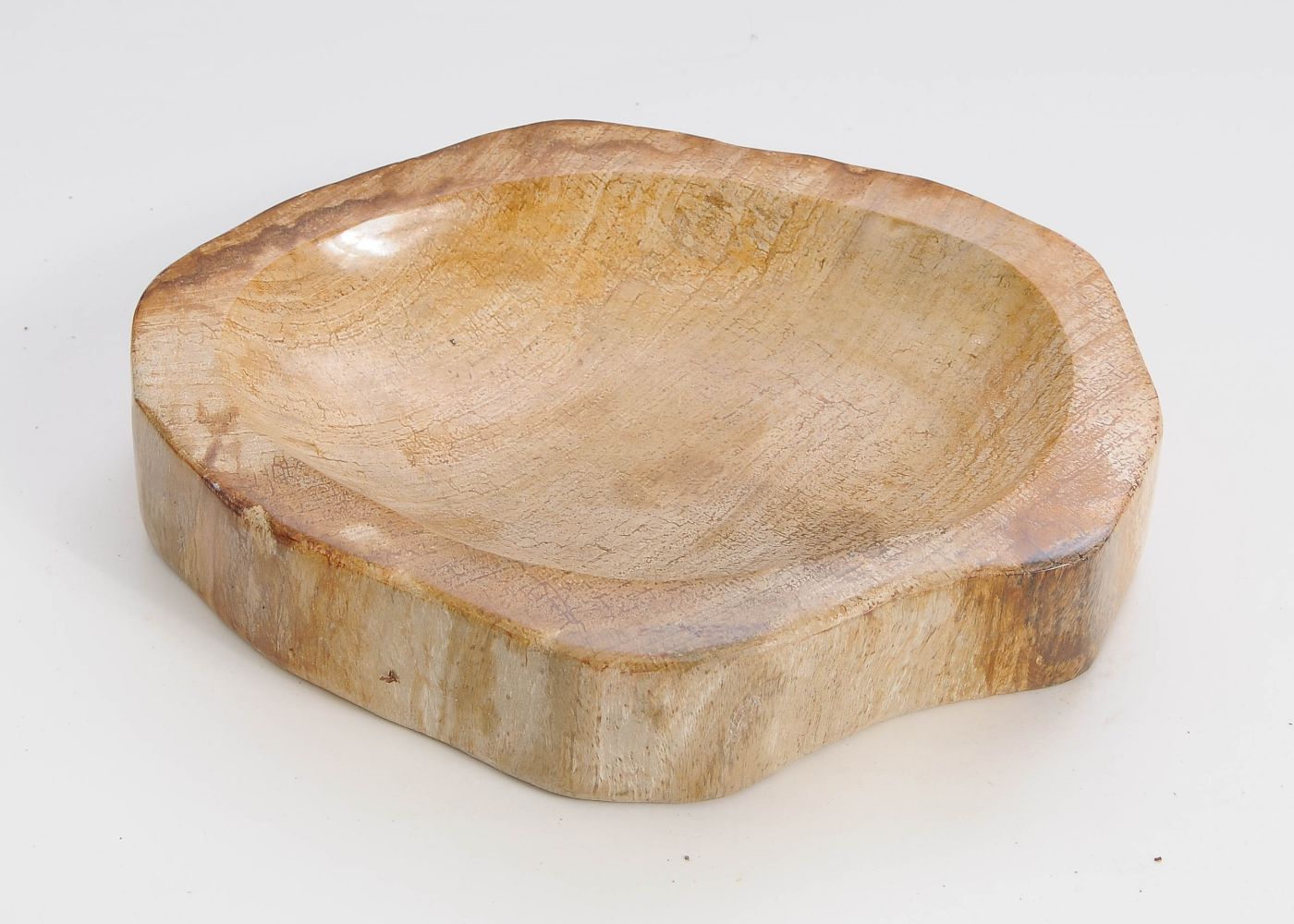 Schaal versteend hout 60374h - Afbeelding 3