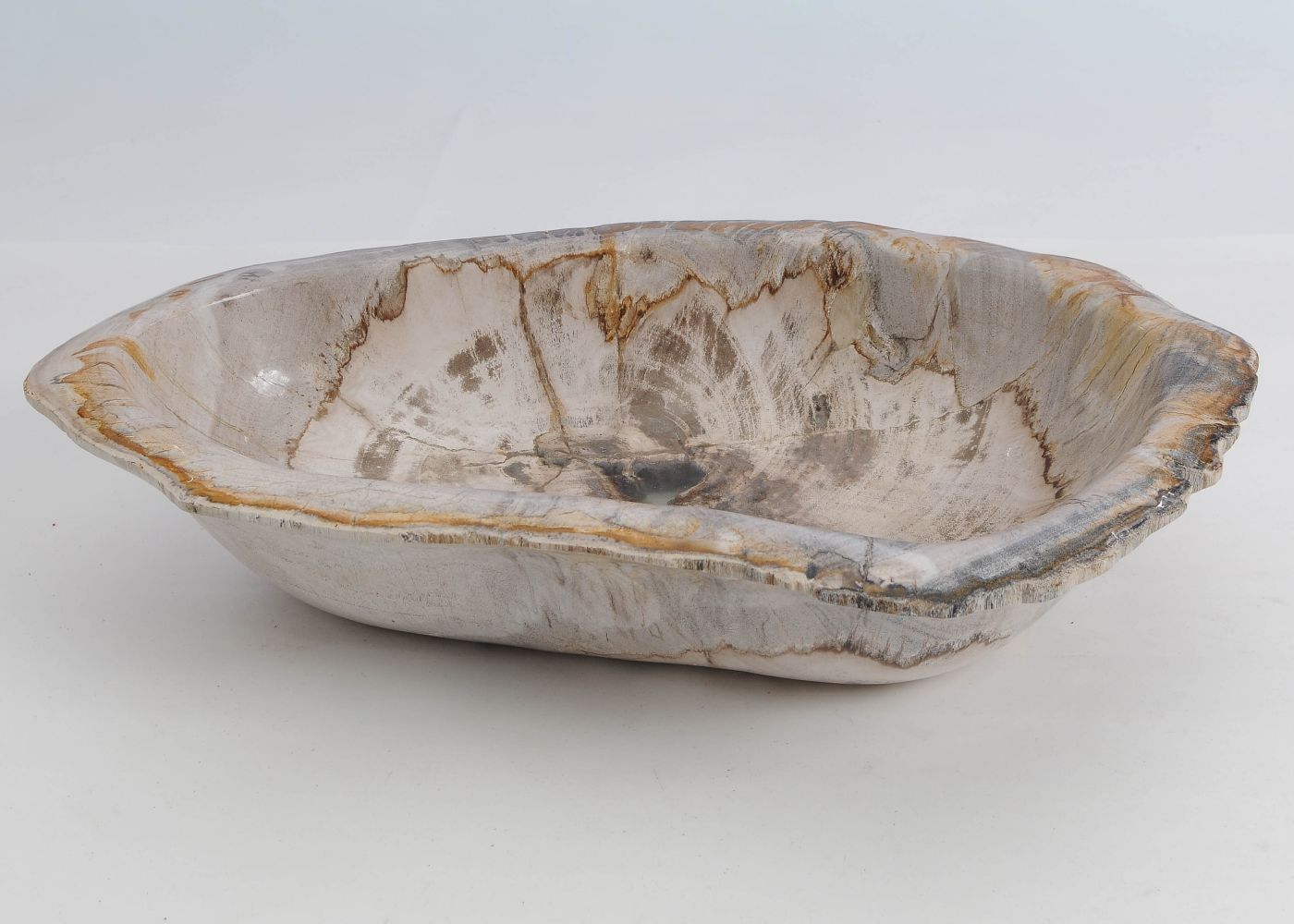 Schaal versteend hout 60443