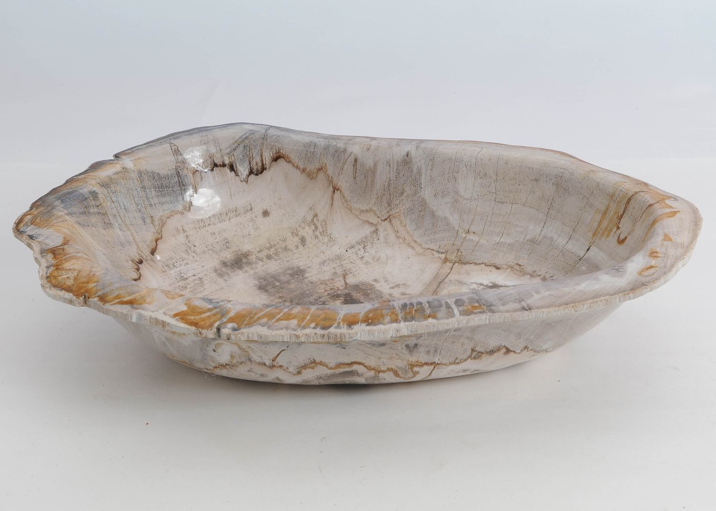 Schaal versteend hout 60443 - Afbeelding 2