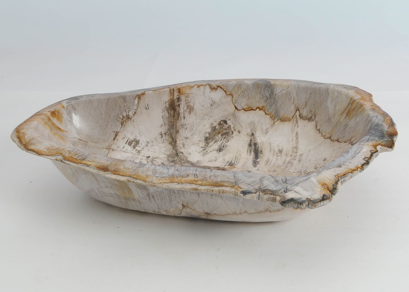 Schaal versteend hout 60444