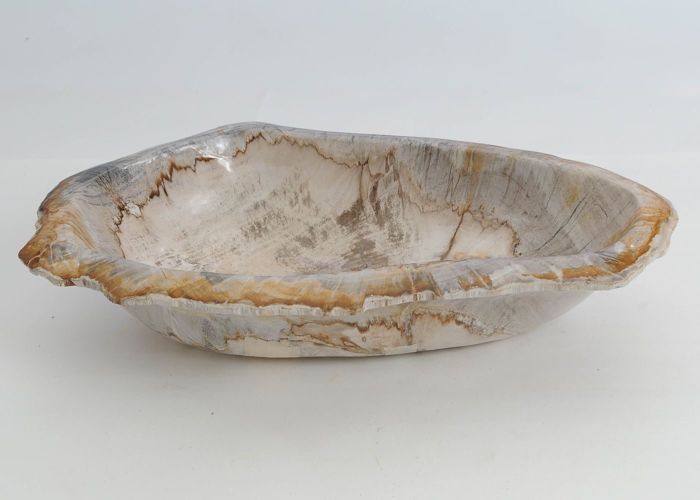 Schaal versteend hout 60444 - Afbeelding 2