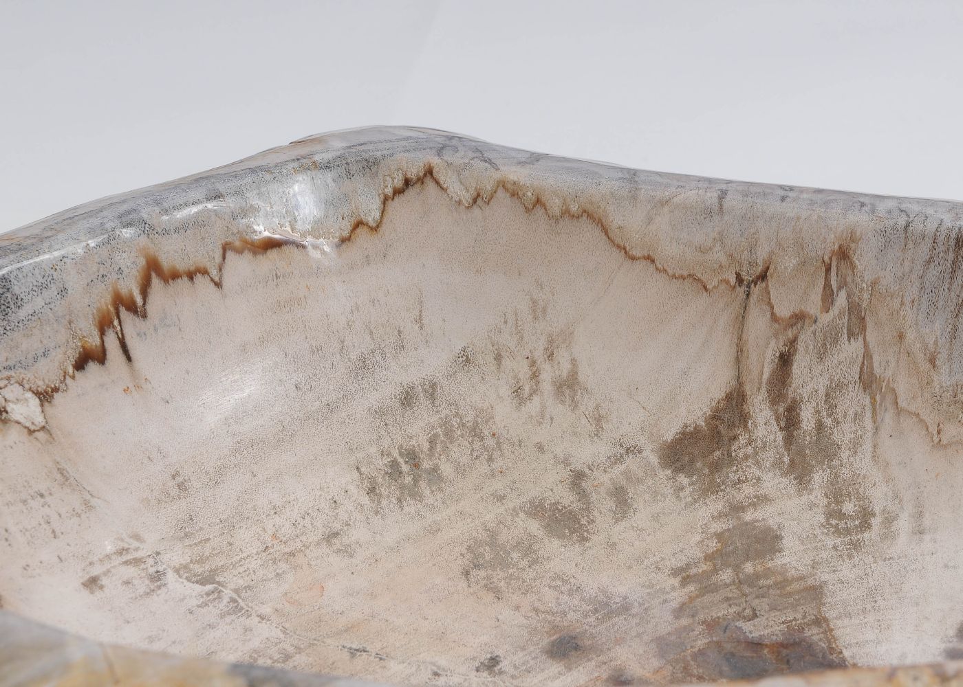 Schaal versteend hout 60444 - Afbeelding 3