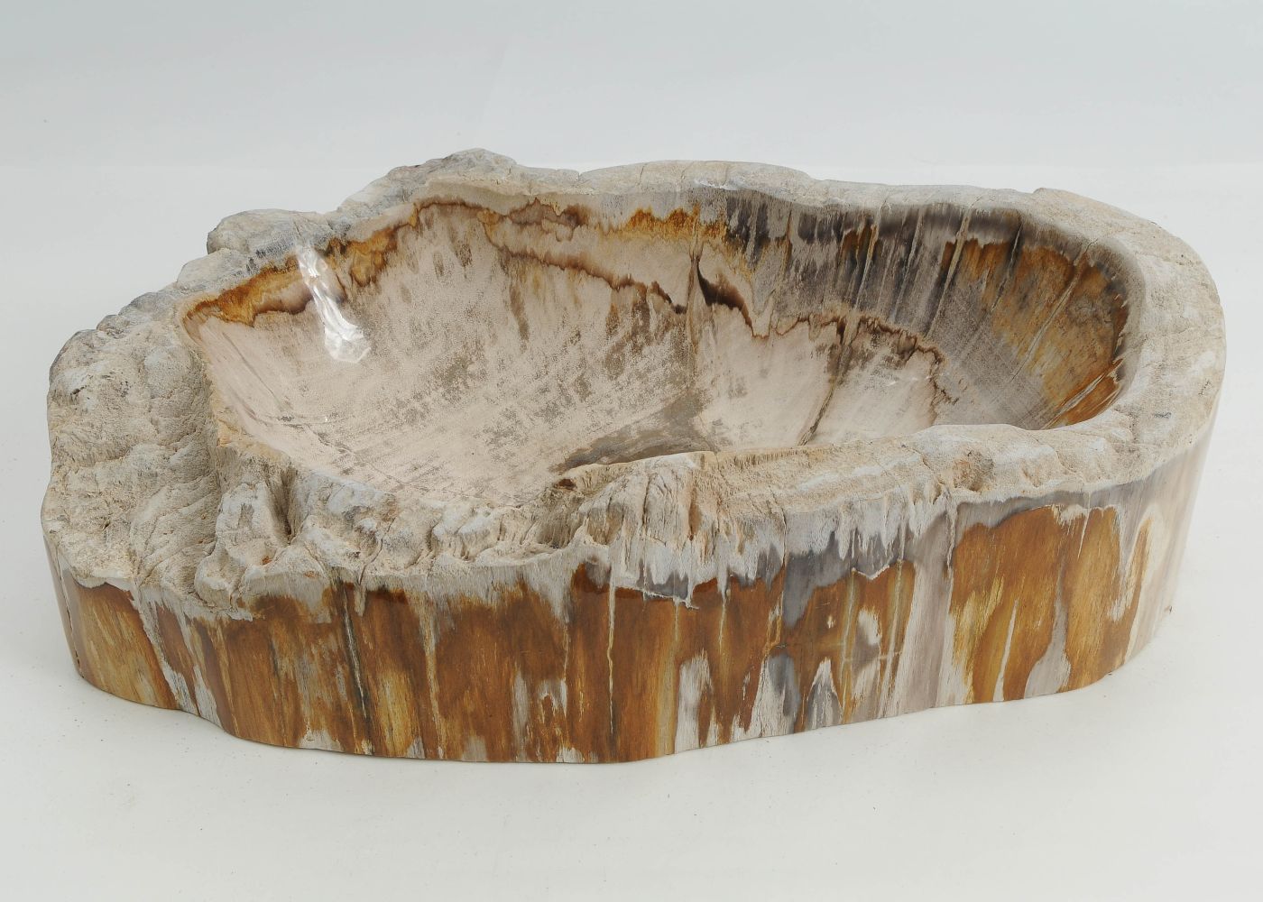 Schaal versteend hout 60446