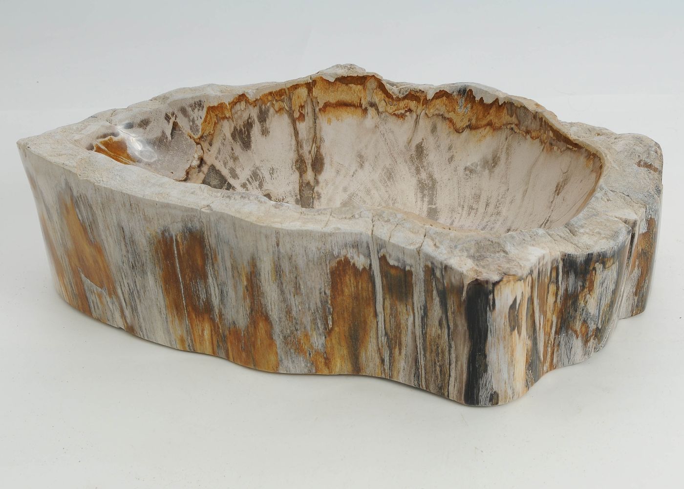 Schaal versteend hout 60446 - Afbeelding 2