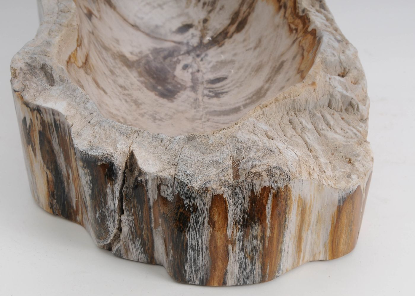 Schaal versteend hout 60446 - Afbeelding 3