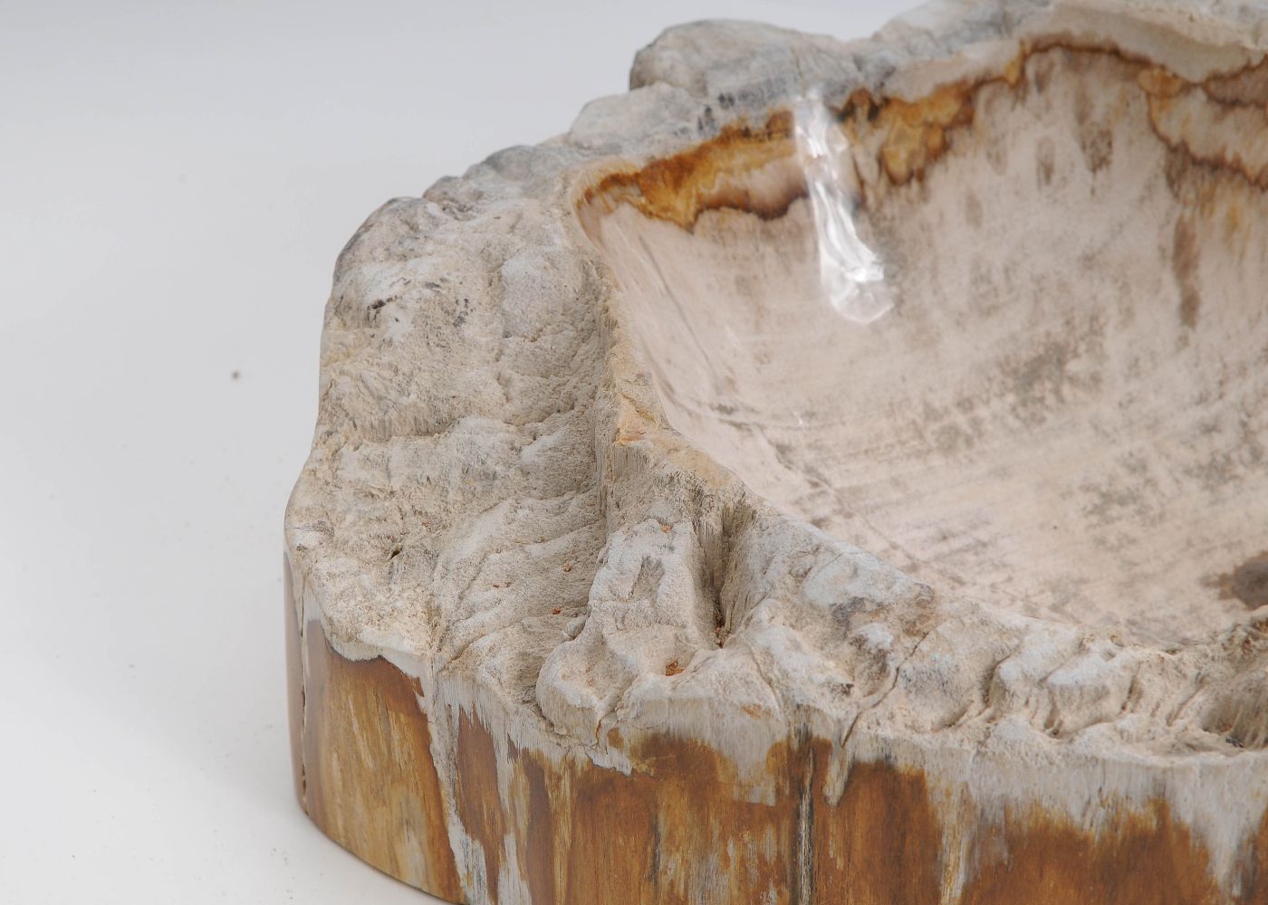 Schaal versteend hout 60446 - Afbeelding 4