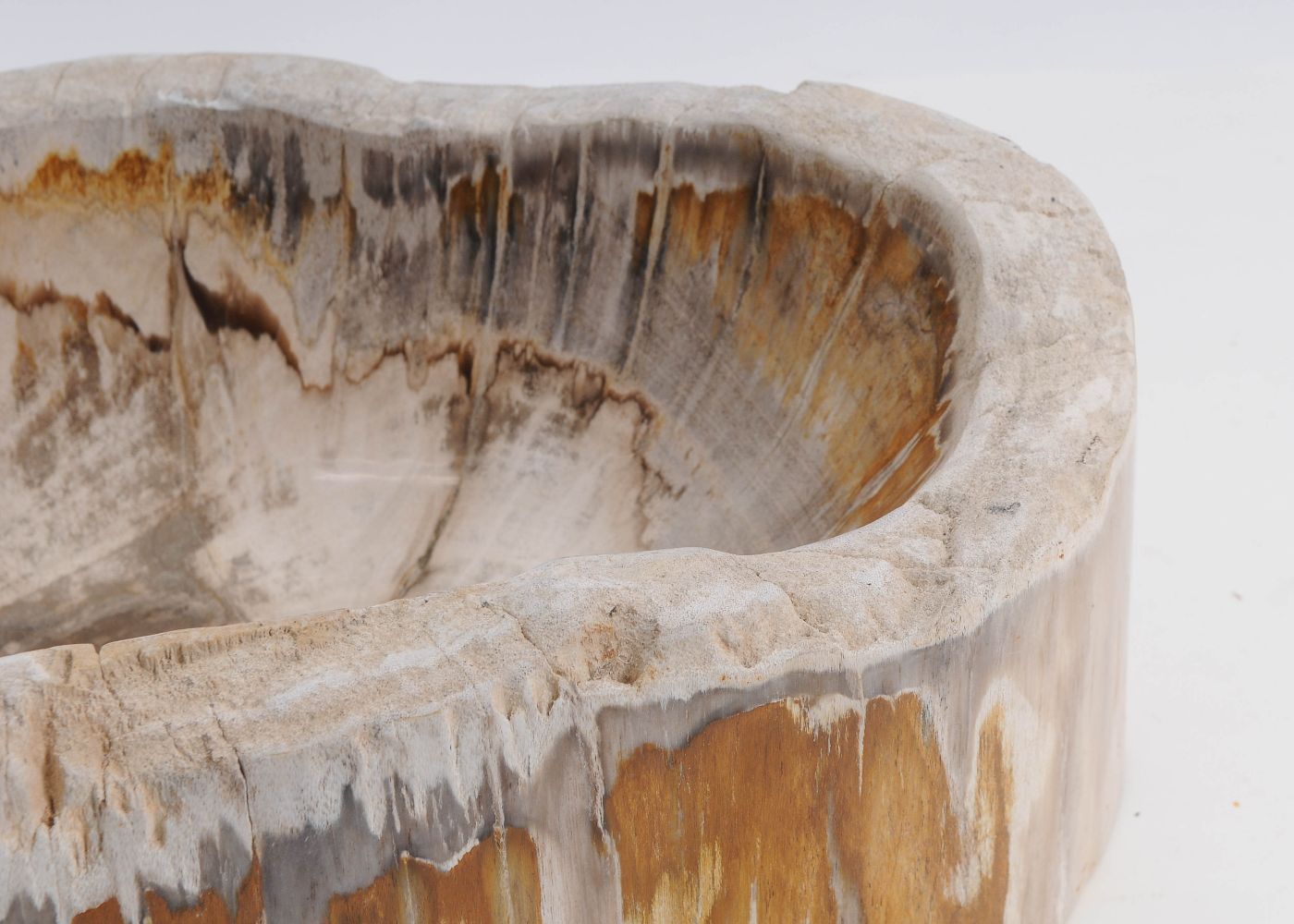 Schaal versteend hout 60446 - Afbeelding 5