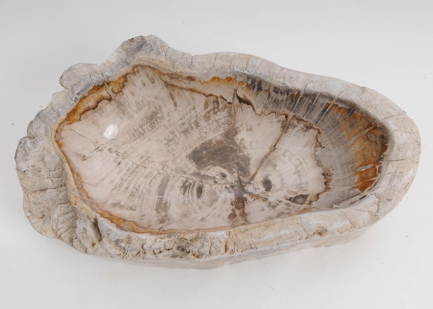 Schaal versteend hout 60446 - Afbeelding 6