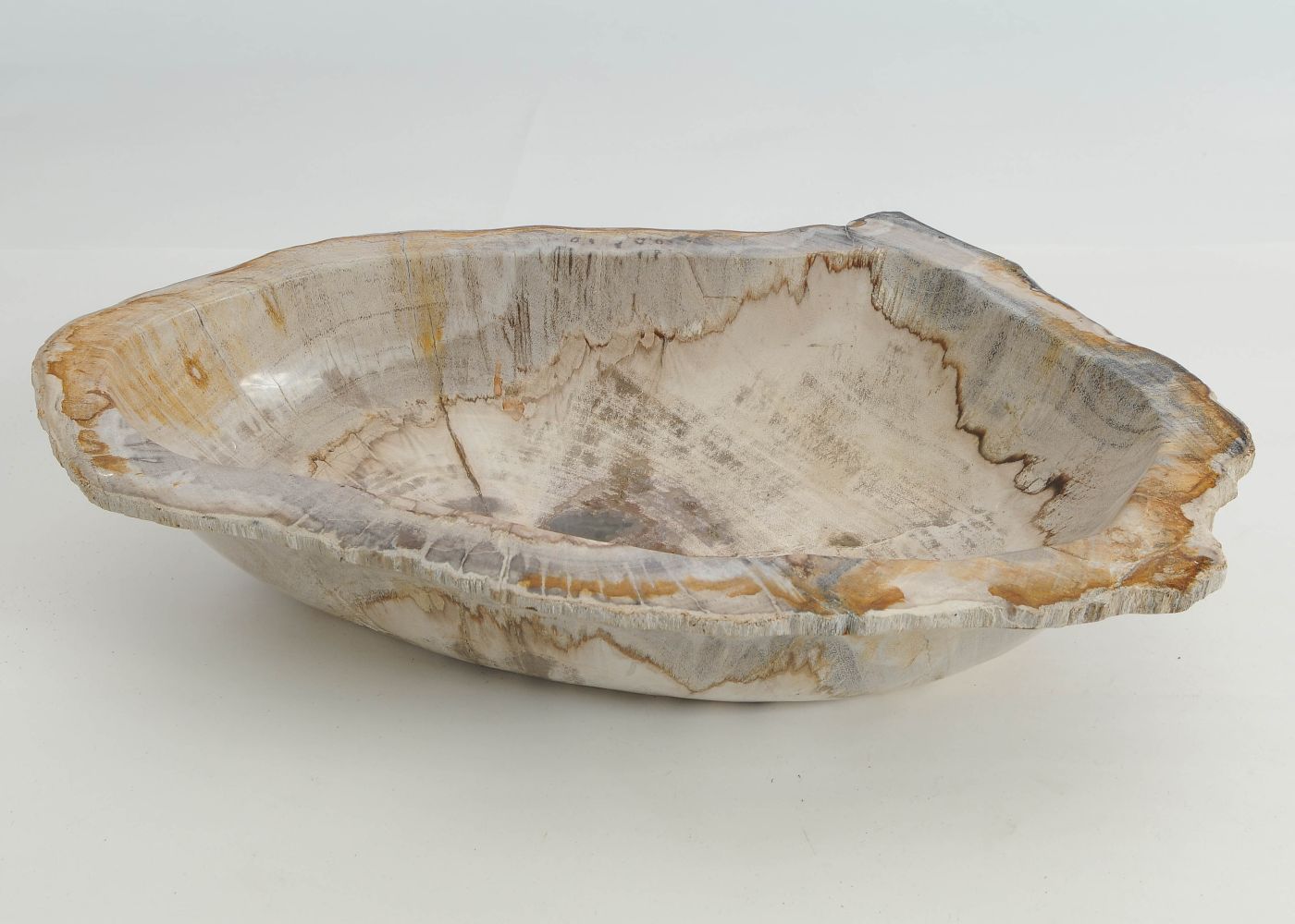 Schaal versteend hout 60448