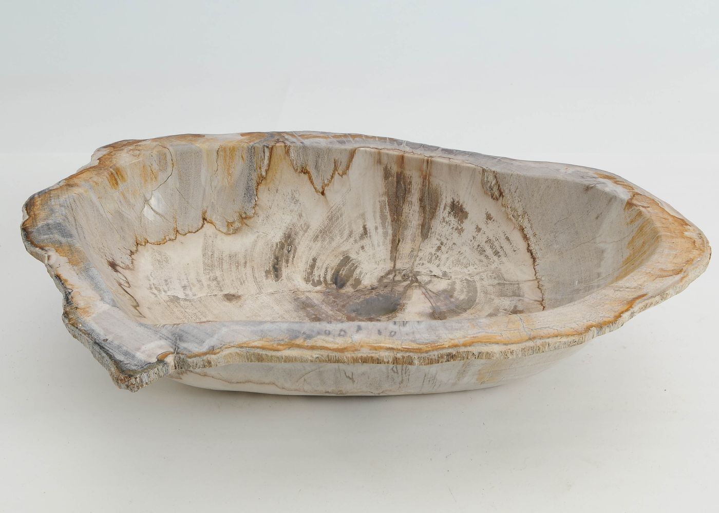 Schaal versteend hout 60448 - Afbeelding 2