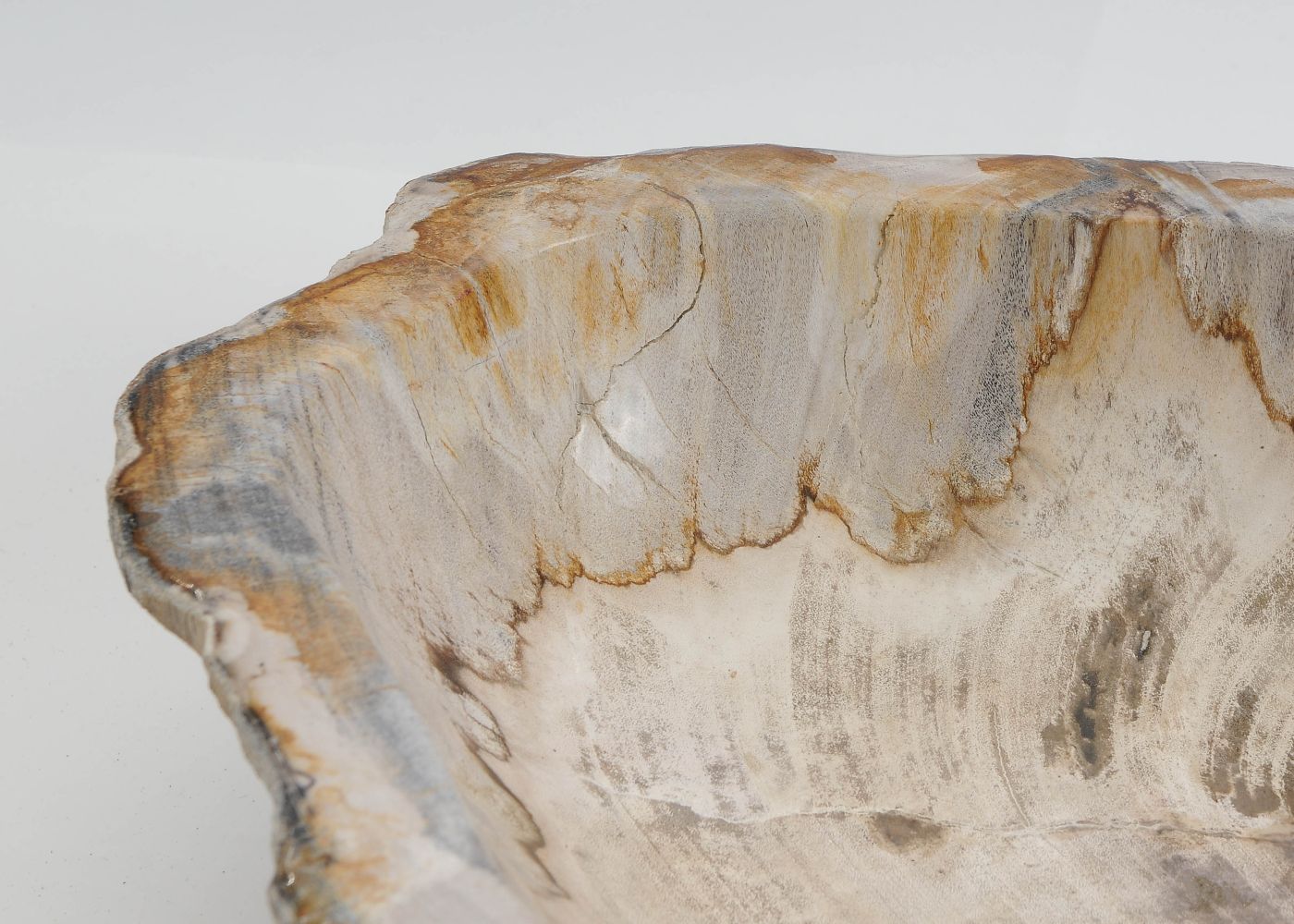 Schaal versteend hout 60448 - Afbeelding 3