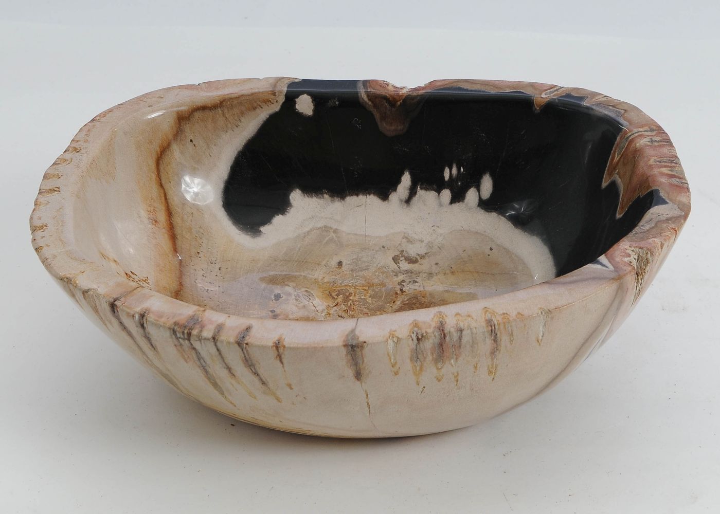 Schaal versteend hout 9516