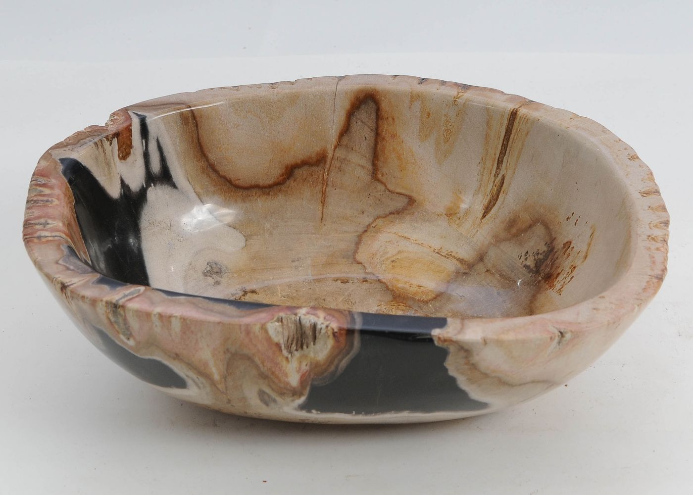 Schaal versteend hout 9516 - Afbeelding 2