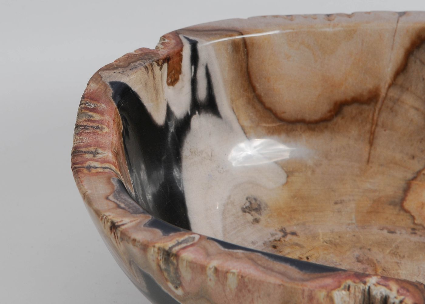 Schaal versteend hout 9516 - Afbeelding 4