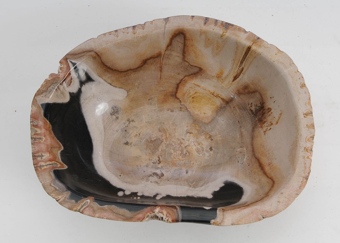 Schaal versteend hout 9516 - Afbeelding 5