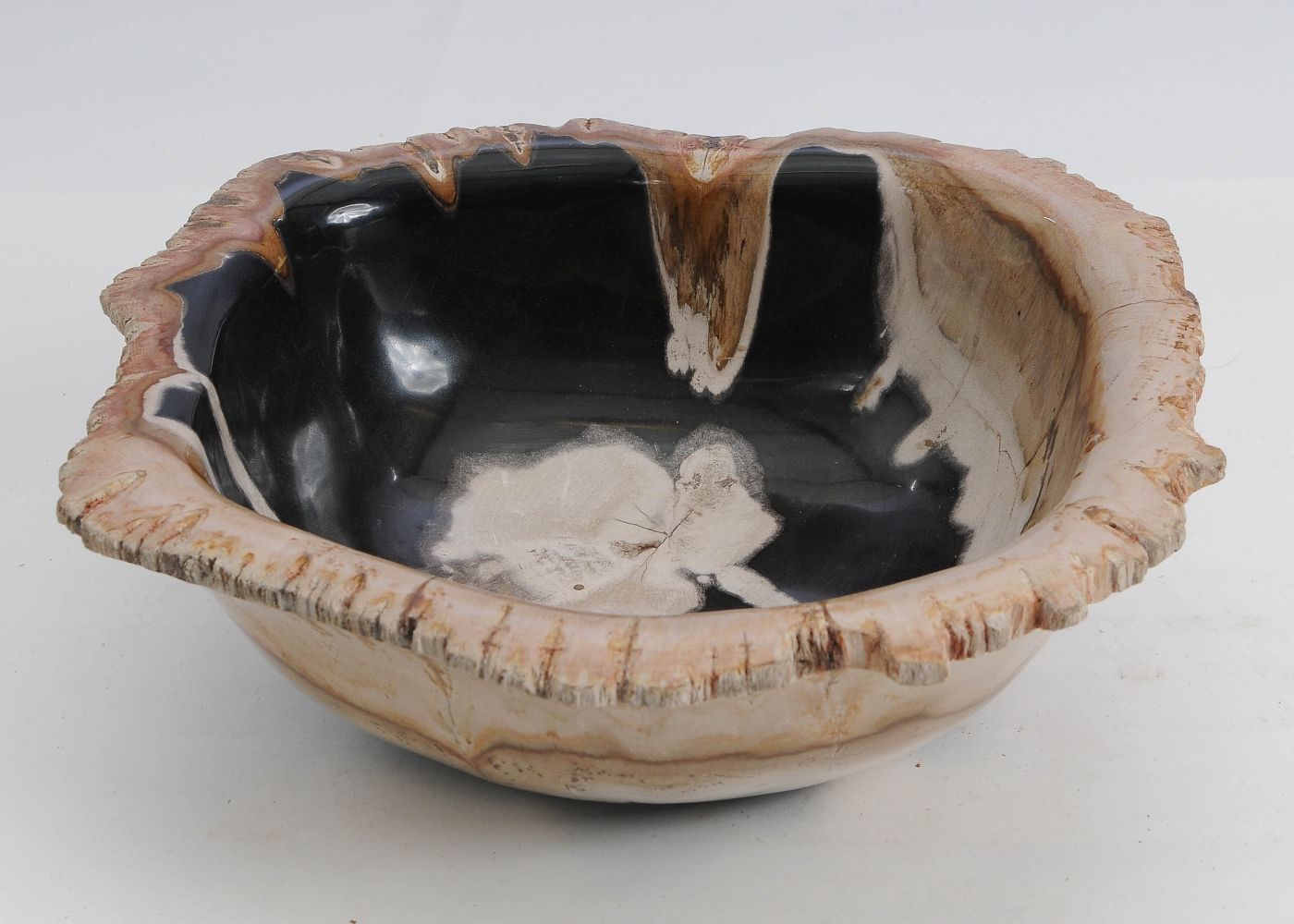 Schaal versteend hout 9822